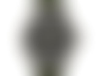 Relógio Timex Expedition 40% OFF para Prime - R$ 214,00