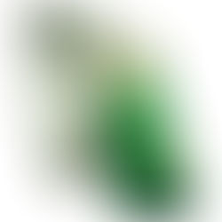 Smartphone Motorola Moto G24, 128GB, 4GB RAM, AI, Câmera 50 MP, Night Vision Verde, excelente custo-benefício, com supertela de 6,6" e 12 meses de garantia.