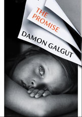 The Promise by Damon Galgut - review