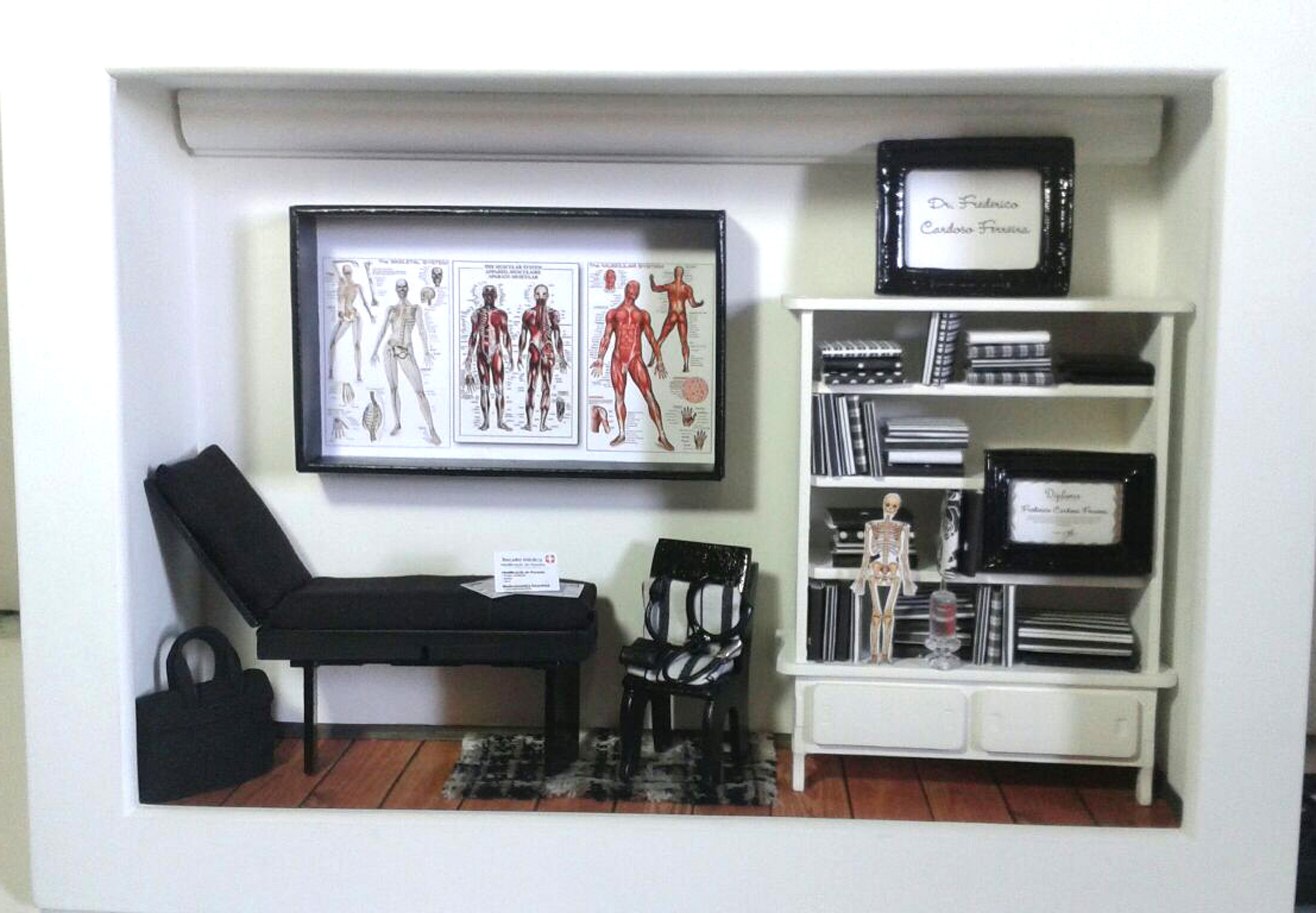 Quadro Miniatura MÉDICO CLÍNICO GERAL 3