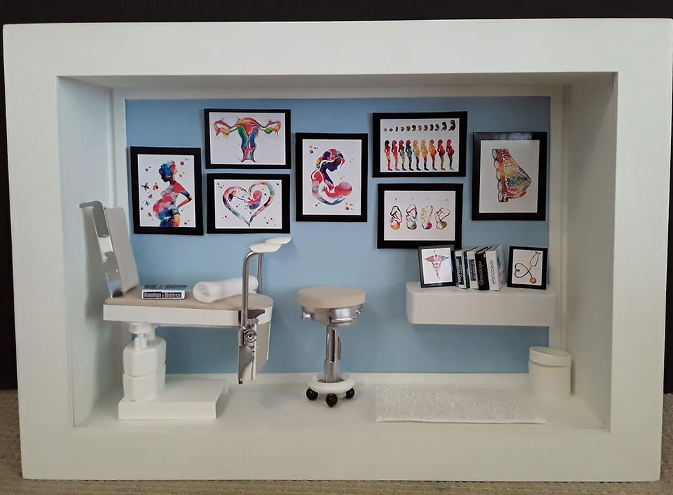 Quadro Cenário em Miniatura MÉDICO GINECOLOGISTA OBSTETRA 3.