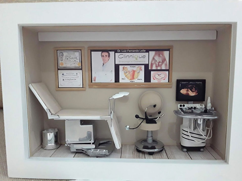 Quadro Miniatura MÉDICO GINECOLOGISTA OBSTETRA 1