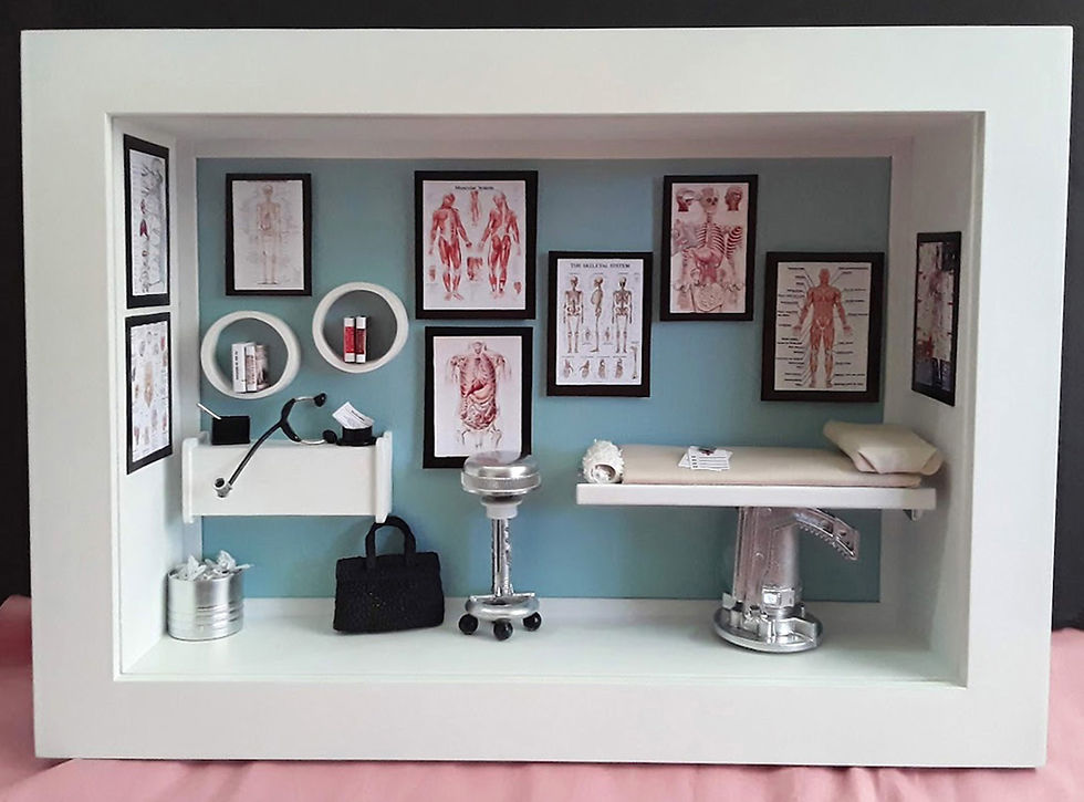 Quadro Cenário em Miniatura MÉDICO CLÍNICO GERAL 0.
