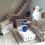 Miniatura: Casa BONECAS média Decorada mod.01