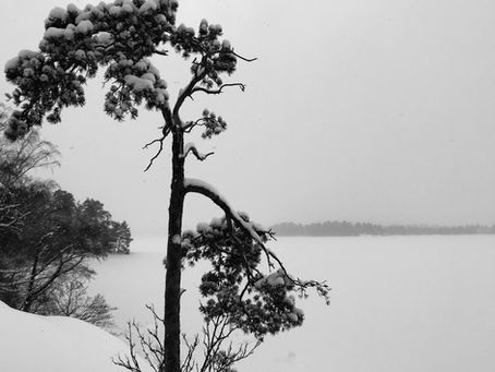 Struggling at Christmas: When the holidays feel Hard