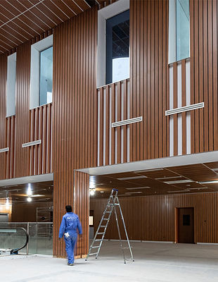 partition and cladding.jpeg