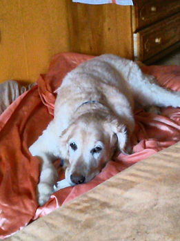 Kimba mit Tanja.jpeg