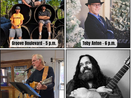 11 Entertainment Time Slots Filled for Nescatunga Arts Festival June 5-6 in Alva