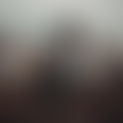 Viajeros entre fronteras digitales