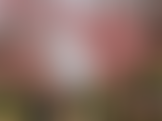 Mejor época para viajar a Corea del Sur (mes por mes)