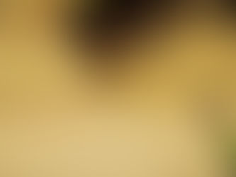 香りの科学第14回目