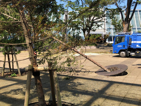 台風のつめあと