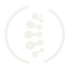 JMO Logo - White.png