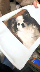 靜宇國際@版權所有