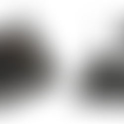 來源:https://nagashare.com/nscaster-x1.shtml