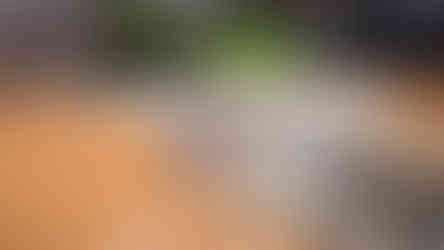 靜宇國際@版權所有