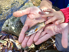An adult holding a freshly caught brook trout while a child looks on, highlighting family-friendly fly fishing trips with She