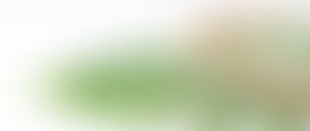 Easter 2025 Newsletter