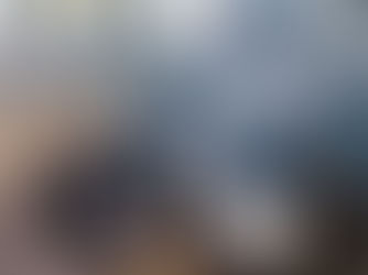 Die Lyra ist da! Zweiter Gangtrainer in Wien