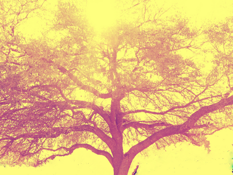 Kev Bev and the WC at RED 7