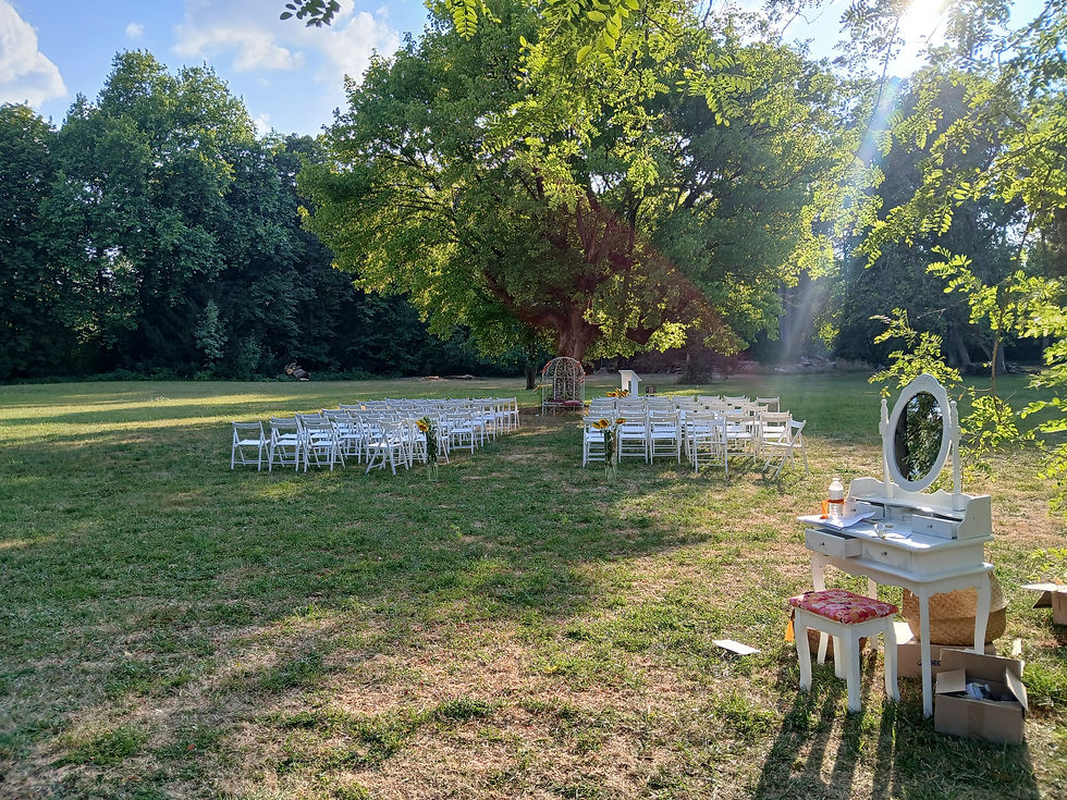 Cérémonie laïque au cœur du parc pour mariage en Lorraine