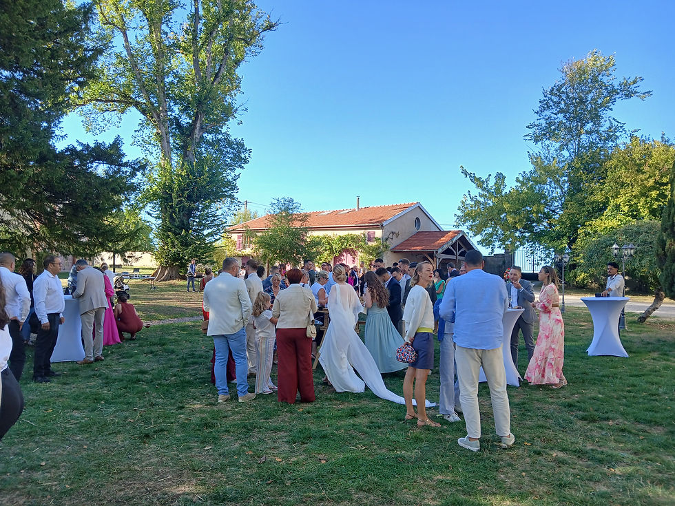 Réception dans le parc devant le château