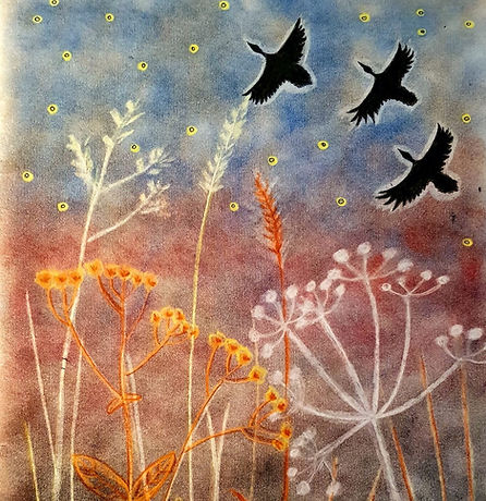 68373235_2361788027483069_1601987934863491072_n (1).jpeg