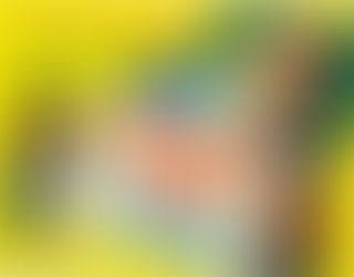 DVD Review: Kino releases Four Faces West (1948)