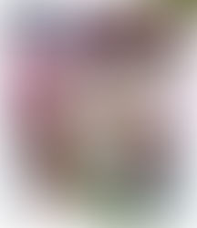 Blu ray review: Jack and the Beanstalk (1952)