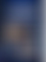 Book review: You Sound Just Like…