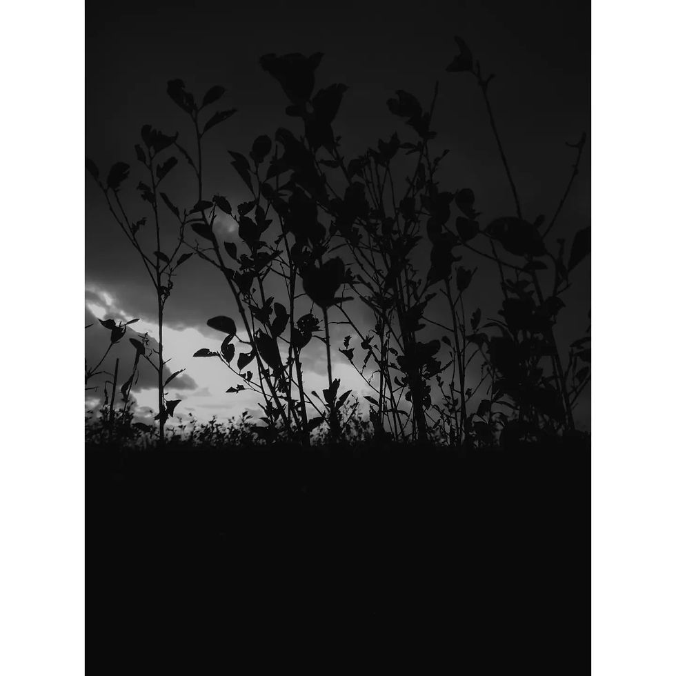 "Black and White"