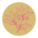 Untitled design (20).png