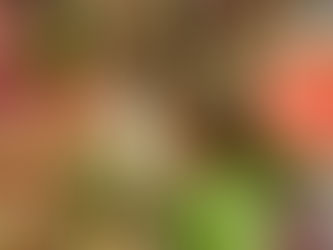 Addressing the Problems of Food Waste