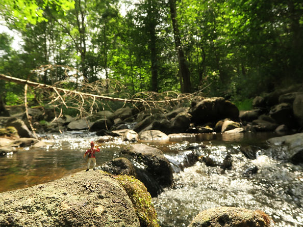 photographie numérique