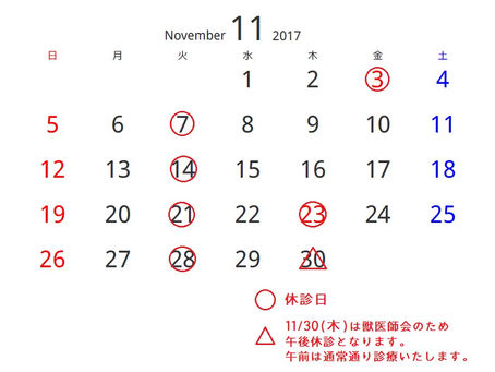 11月の診療カレンダー