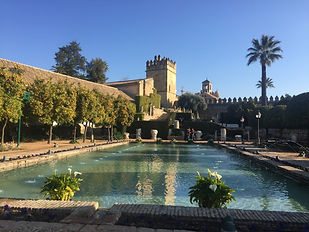 IMG_3345.jpeg