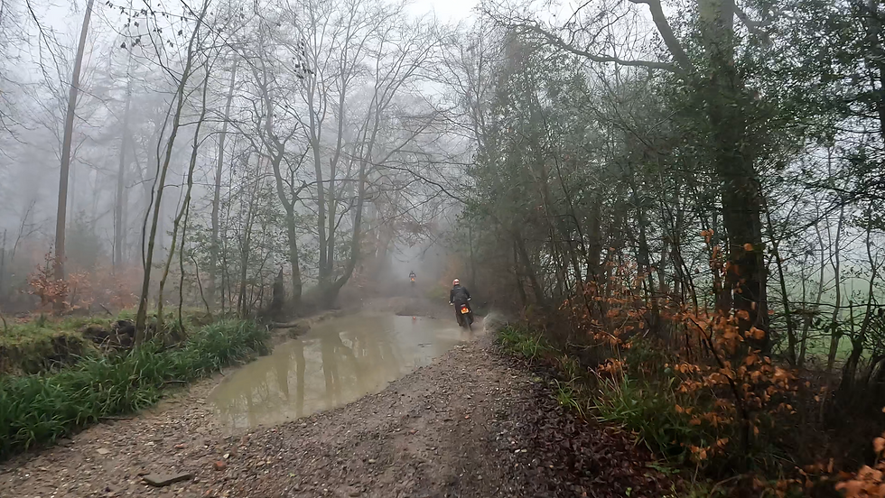 An adventure bike splashes through the edge of a puddle in a misty woodland
