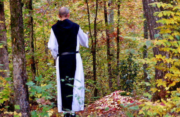 Honey Creek Woodlands