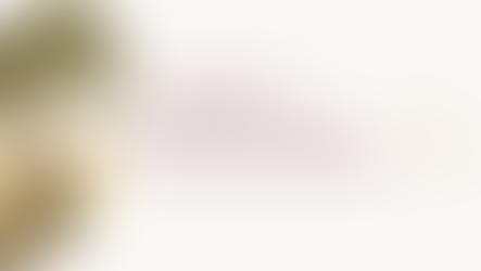 Harmonizing with Your Flow: A Guide to Optimizing the Follicular Phase