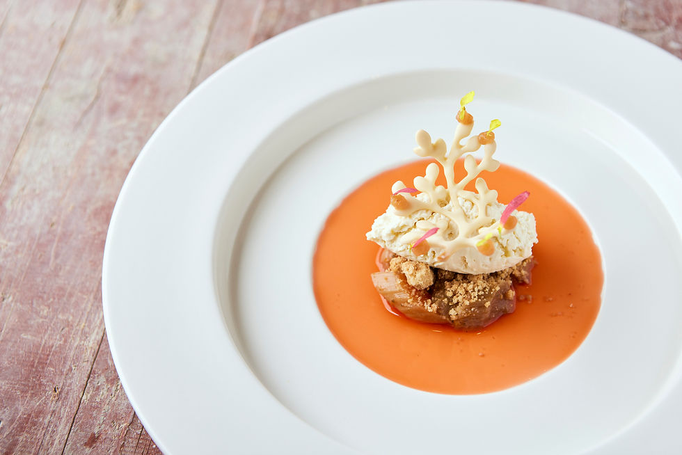 Erdbeer-Rhabarber-Ragout 5