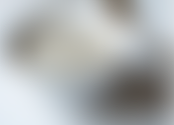 Fiber: Is it everything we thought it was?