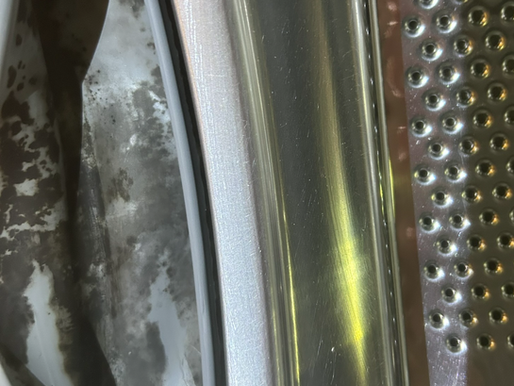 Microbial grownth inside the big fold of a frontload washer.