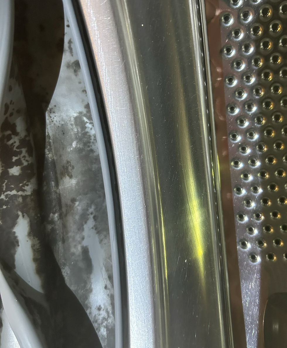 Microbial grownth inside the big fold of a frontload washer.