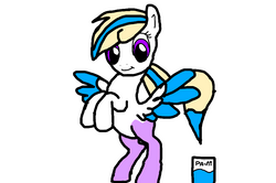 paint pony.PNG