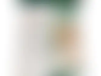 Les Sous-vêtements pour Homme :