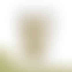 Umoyo Natural Health Ashwagandha Powder - 100g a