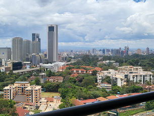 'Going into Analysis...'