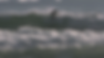 Screenshot 2024-02-01 at 16.00.55.png