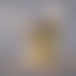 Como Iniciar uma Criação de Canários: Um Guia Completo para Criadores Iniciantes