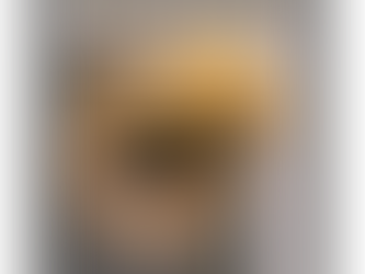 Como Escolher o Melhor Casal para Reprodução de Canários